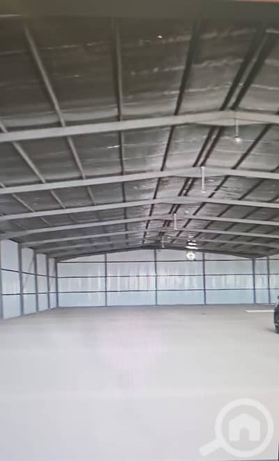 ارض سكنية  للايجار في الصليبية، مدينة الكويت - Warehouse