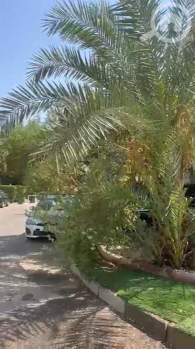 فیلا 6 غرف نوم للايجار في الزهراء، مدينة الكويت - فيلا في الزهراء مع حديقة
