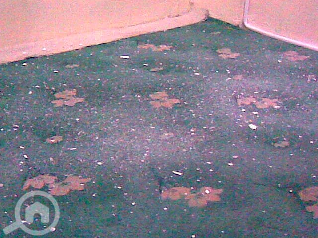 vacation flat needed vacation flat needed