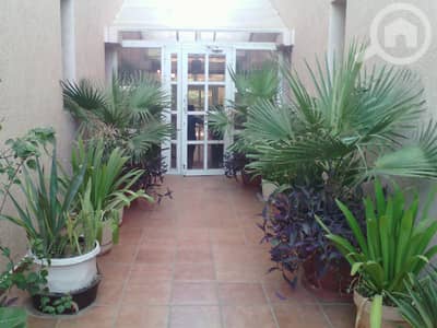 فلیٹ 2 غرفة نوم للايجار في العقيلة، مدينة الكويت - Pets friendly 2 bedroom in egaila with terrace, garden, pool,