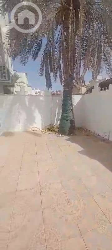 ارض سكنية  للبيع في القصر، مدينة الكويت - للبيع بيت صالح للسكن في القصر مساحته 1000 متر استفسار وتساب 96725110