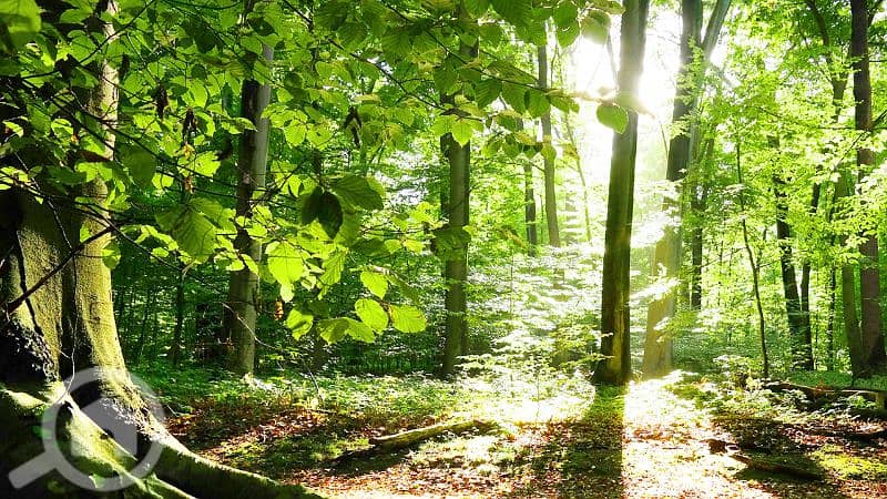 للايجار دور من فيلا ابو فطيرة تشطيب راقى شارع رئيسي موقع مميز للايجار دور من فيلا ابو فطيرة تشطيب راقى شارع رئيسي موقع مميز