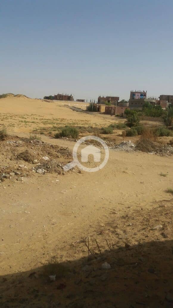 مصر الوادي الجديد الداخلة القصر