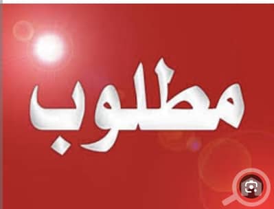 شقة 3 غرف نوم للايجار في سعد العبدالله، مدينة الكويت - مطلوب شقه في المطلاع او سعد