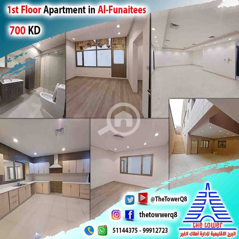 للإيجار في الفنيطيس شقة مع مدخل خاص و 3 حوش ساقط 4 غرف ماستر للإيجار في الفنيطيس شقة مع مدخل خاص و 3 حوش ساقط 4 غرف ماستر