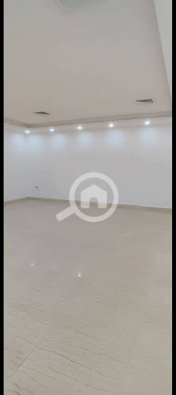 الفينيطيس الفينيطيس