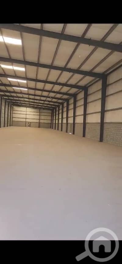 Other Commercial for Rent in Mubarak Al Kabeer, Kuwait City - للايجار مخزن في ميناء عبدالله مساحة 1850 متر ارتفاع 9 متر عازل حراري