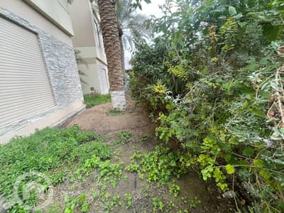 فیلا 5 غرف نوم للايجار في الرقة، مدينة الكويت - villa for rent in riqqa