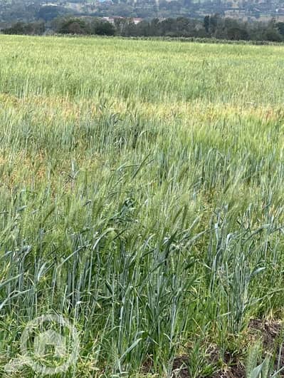 ارض سكنية  للبيع في السالمية، مدينة الكويت - 15 قطعة أرض للبيع والإيجار!