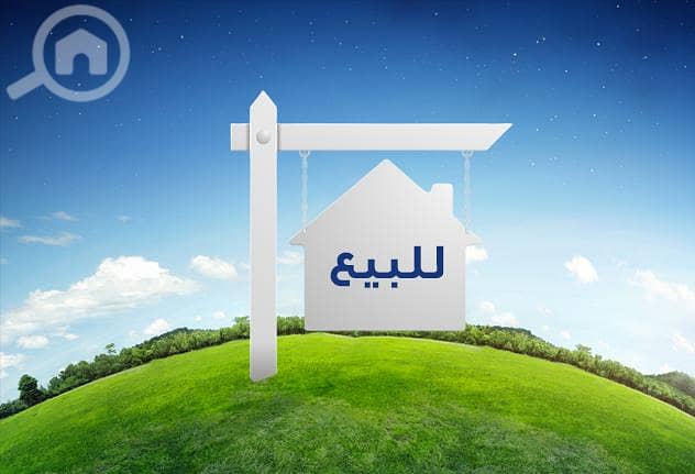 الفنيطيس الفنيطيس