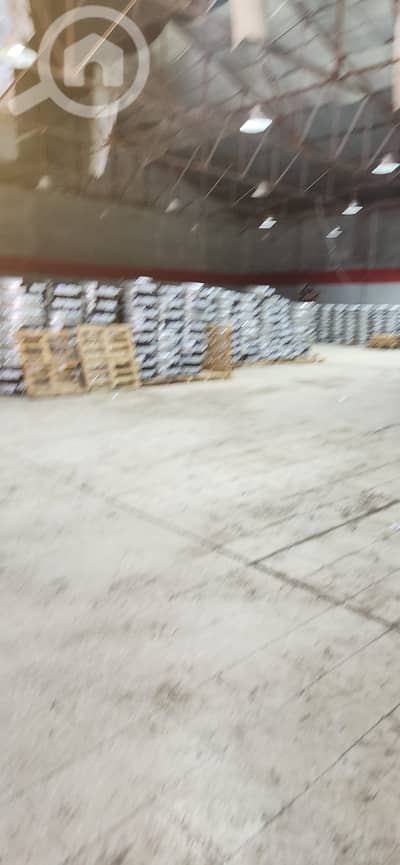 Other Commercial for Rent in Shuwaikh Industrial, Kuwait City - للايجار مخزن في الشويخ عبارة عن هنجر مع صندله مساحة 1000 متر يصلح للتخ