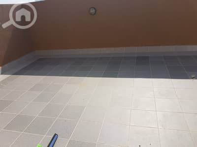 شقة 3 غرف نوم للايجار في الفنطاس، مدينة الكويت - Pets friendly 3 bedroom with terrace in fintas.