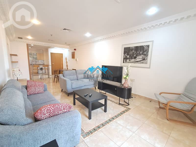 Fully Furnished 2 Bedrooms Apartment in Mahaboula