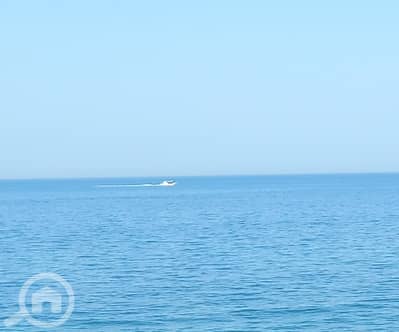 فلیٹ 2 غرفة نوم للايجار في المنقف، مدينة الكويت - On the beach! Pets friendly 2 bedroom in mangaf with pool