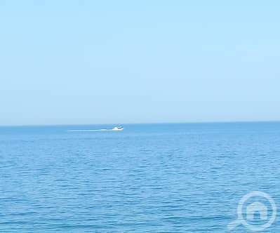 2 Bedroom Apartment for Rent in Al Manqaf, Kuwait City - On the beach! Pets friendly 2 bedroom in mangaf with pool