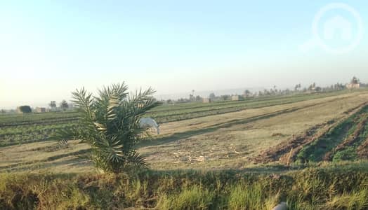 Residential Land for Sale in Salwa, Kuwait City - السالمية