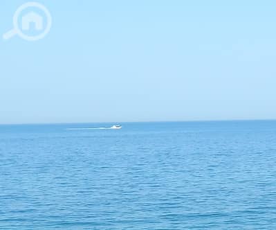شقة 2 غرفة نوم للايجار في المنقف، مدينة الكويت - On the beach! Pets friendly 2 bedroom in mangaf with pool