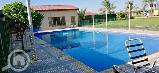 شاليه 6 غرف نوم للايجار في الفحيحيل، مدينة الكويت - للايجار اليومي مزرعة للعائلات